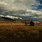 Abandoned farm in the San Louis Valley