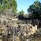Goodman Point Group, Hovenweep National Monument