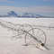 March near Ute Mountain