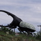 And you think your bugs are big....