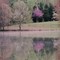 soft spring colours in Virginia