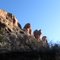 Nature's Gargoyles