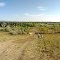 Buffalo Ranch XC course