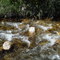 glenwood canyons , co