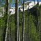 COLORADO, Aspen,  (USA)
