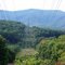 Power Lines