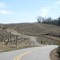 Vineyard off Mount Chestnut Rd