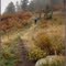 foggy day on 'Overlook'