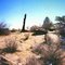 Colorado desert 1997
