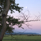 Valley Sunset Camano Island