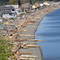 Driftwood Shores