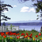 West Camano Island, looking over Saratoga Passage and Whidbey Island