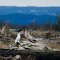 Shoreline predator habitat (snowy owl)