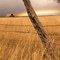 Autumn Rainbow and Fencepost