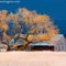 Old Barn After an Autumn Storm