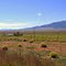 Into the great wide open!---miles of views on the old ranch in the Wet Mountain Valley