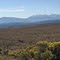 WIDE OPEN Wet Mountain Valley