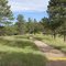 Belcher Trail path