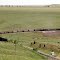 Coal train on siding as California Zephry passes. May, 2012.