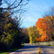 Autumn in Long Grove