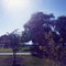 ABBOTT PARK