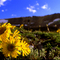 Imogene pass, telluride