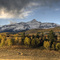 Fall Near Telluride
