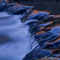 Bear Creek