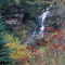 Bear Creek Falls
