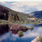 beaver lodge