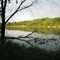 Little Green Lake