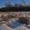 Blackbird Point Conservancy