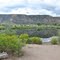 Lion Park - Rifle, CO