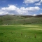 Middle Park