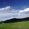 Middle Park