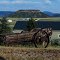 Old Farm Equipment in Yard