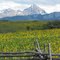 Mt. Sneffels