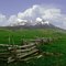 Colorado Meadow and Fencing