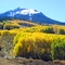 San Juan Vista road - Ridgway, Colorado