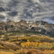 Autumn in Colorado