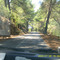 Way to Petaloudes
