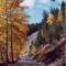 North Nechako Road