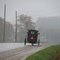 Mennonites in the mist
