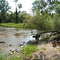 Credit River near River Grove Community Centre