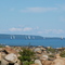 Sailboats sortie from Meaford