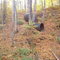 Part of a penstock that carried water from the dam to a 270 kW power station built in 1906