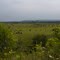 _MG_3849e