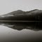 Morning reflection