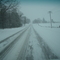 Wellington Road 7