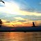 Every bird comes back home by evening